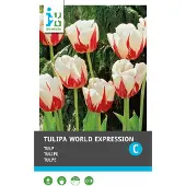 Intratuin Bloembollen Tulp (Tulipa 'World Expression') 10 Stuks