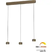 Freelight Hanglamp Cosmo 3 lichts L 90 cm comfortlift brons goud