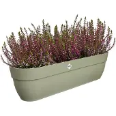 Elho Vibia Campana Easy Hanger XXL 70 - Plantenbak voor Balkon - Balkonbak - 100% Gerecycled Plastic - L69 x B26.8 x H23.7 cm - Pistachegroen