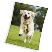 MCU fleeceplaid hond groen 150x200cm