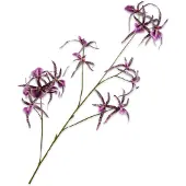 Silk-ka - Kunstbloem - paars - H108 cm