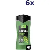 Axe Réveil Detox 5-en-1 Douchegel – 6 × 250 ml