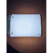 Velux Dakraamrolgordijn DKL M06 396 5195 SWL