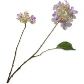 Silk-ka Kunstbloem-Zijden Bloem Hortensia Tak Wit-Lila 71 cm