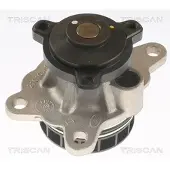 TRISCAN 8600 10092 Waterpomp