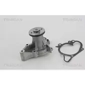 TRISCAN 8600 43010 Waterpomp