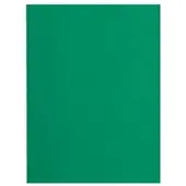 Exacompta Flash Dossiermap A4 Groen Manila 80 g/m² 1000 Stuks