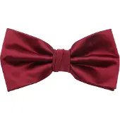 Suitable Satijnen Strik Bordeaux -