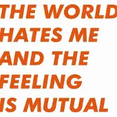 Import World Hates Me And The Feeling Is Mutual