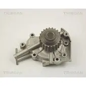 TRISCAN 8600 21003 Waterpomp