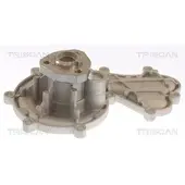 TRISCAN 8600 29096 Waterpomp