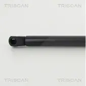 TRISCAN 8710 292041 Gasveer achterklep