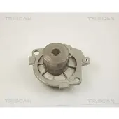 TRISCAN 8600 15021 Waterpomp