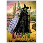 Universal Pictures Movie - Wicked: For Good (DVD)