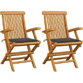Syfax Inklapbare stoelen 2 st met antracietkleurige kussens
