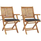 Syfax Inklapbare stoelen 2 st met antracietkleurige kussens
