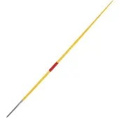 Sporti France Training 300g Speer