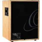 Ortega CONE-ASH Amplifier Combo EU Ash akoestische gitaarversterker