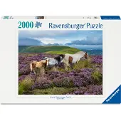 Ravensburger Wilde Paarden 2000p (12001751) Puzzel