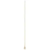 Ixxxi Ketting 1 mm Goud 50 cm