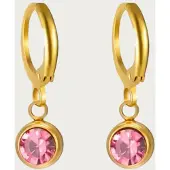 Yehwang Geboortesteen Oorringen - November - Citrien - Zilver