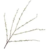 Silk-ka Kunsttak Wilg Groen H 111 Cm