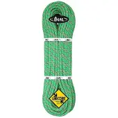 BEAL - Tiger 10 mm - Enkeltouw 70 m, groen