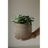 HS Potterie Bloempot Grijs Bruin Miami Ovaal 28 x 12 x 14