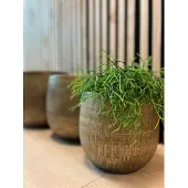 HS Potterie Bloempot Goud Miami D26 x H40
