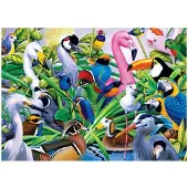 Jumbo Puzzel Birds 1000 stukjes