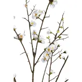 Ptmd kunstbloem blossom - 81.5x79x137cm