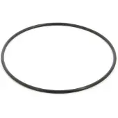 VETUS Ring 158x4.5 Mm Zilver