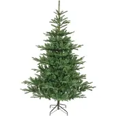 Everlands Kiens fir 210 cm