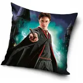 Harry Potter Kussensloop 40x40 cm - Zachte Velvet met Rits