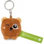 Nici sleutelhanger beer “Je kunt het!” groen 5cm