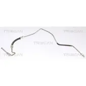 TRISCAN 8150 25286 Remslang