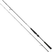 Daiwa Saltist Seabass Spinning Rod Zilver 3.05 m / 15-56 g