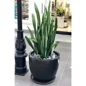 Polnix Zwarte Keramische Pot met Schotel - 36x38 cm - Vorstbestendig