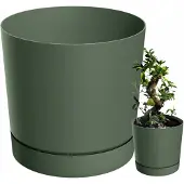 Prosperplast TUBO P bloempot 35cm met schotel - Groene Pinia
