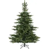 Everlands Grandis fir 450 cm