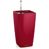 Lechuza MAXI-CUBI - Premium tafelpot - Plantenbak - met uitneembare binnenbak - met bewateringssysteem - ALL-IN-ONE set met LECHUZA-PON - scharlakenrood hoogglans