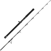 Penn Regiment Iv Spinning Rod Zilver 2.40 m / 20-30 Lbs