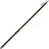 Dam Backbone Ii Stellfisch Carpfishing Rod Zilver 8.00 m / 50-100 g