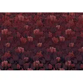 Komar Fotobehang Tulipe - Rood - 2,80m X 400cm