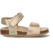 Bunnies Jr. Bimi beach