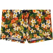 Hom Zwemshorts ' Swim Shorts Etna ' groen / gemengde kleuren / oranje