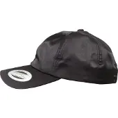 Flexfit Pet wit