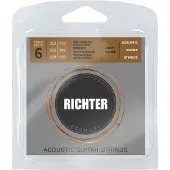 Richter RP1253 Ion Coated Phosphor Bronze Akoestische Snaren (12-53) 1841