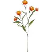 Emerald Xerochrysum spray orange 70 cm kunstplant