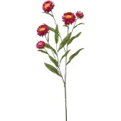 Emerald Xerochrysum spray fuchsia 70 cm kunstplant